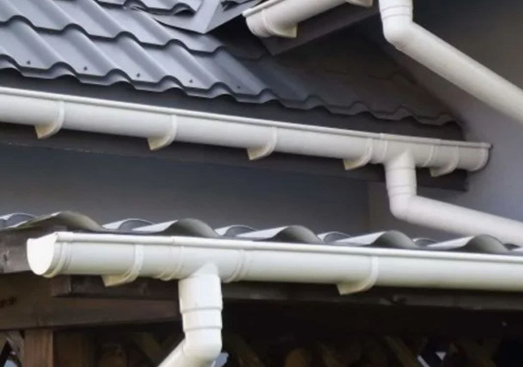 snowguards